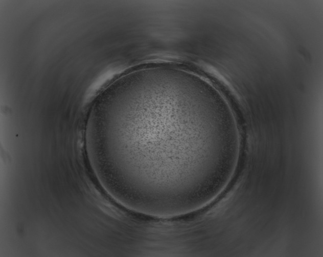 X0000090871355200708031000