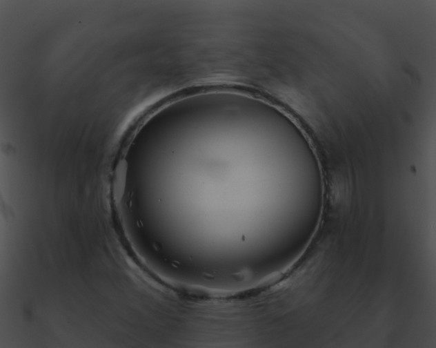 X0000090871356200708031000