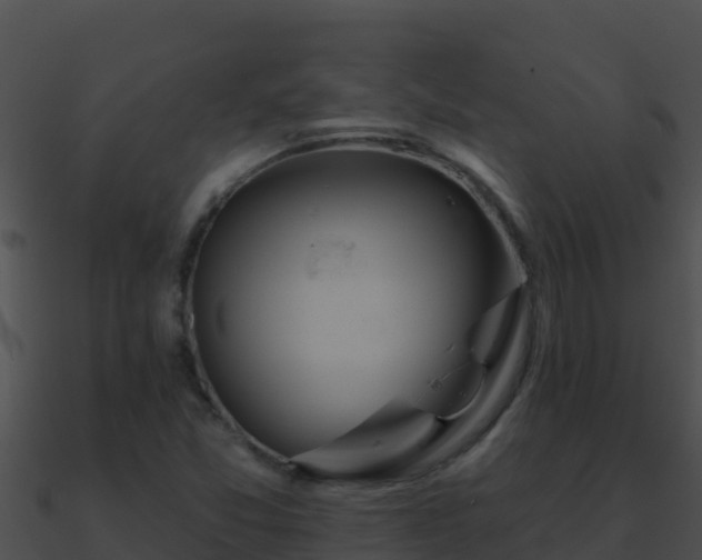 X0000090871357200708031000