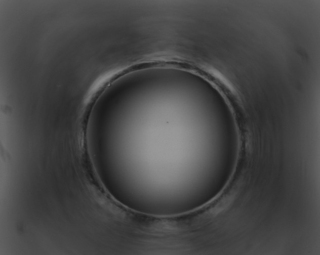 X0000090871358200708031000