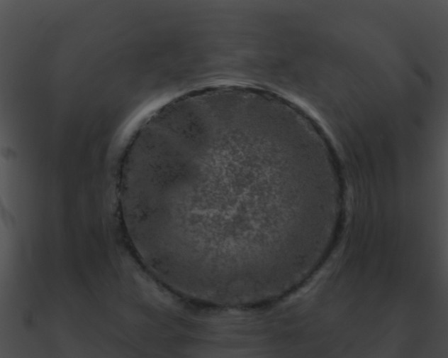 X0000090871359200708031000