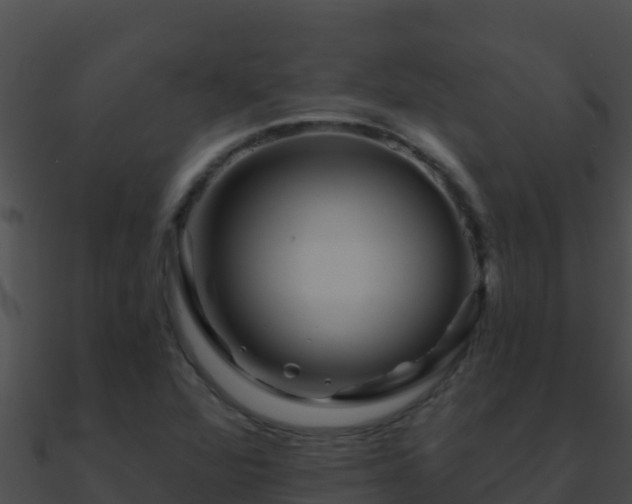 X0000090871360200708031000