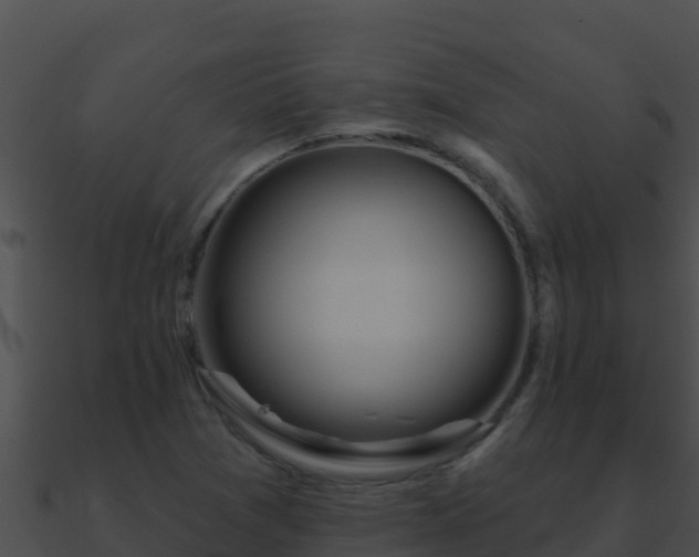 X0000090871361200708031000