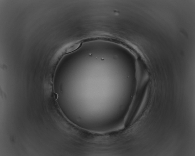 X0000090871363200708031000