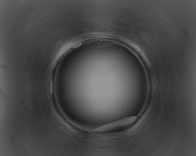 X0000090871365200708031000