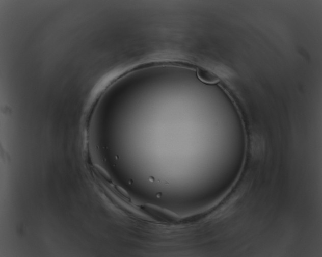 X0000090871366200708031000