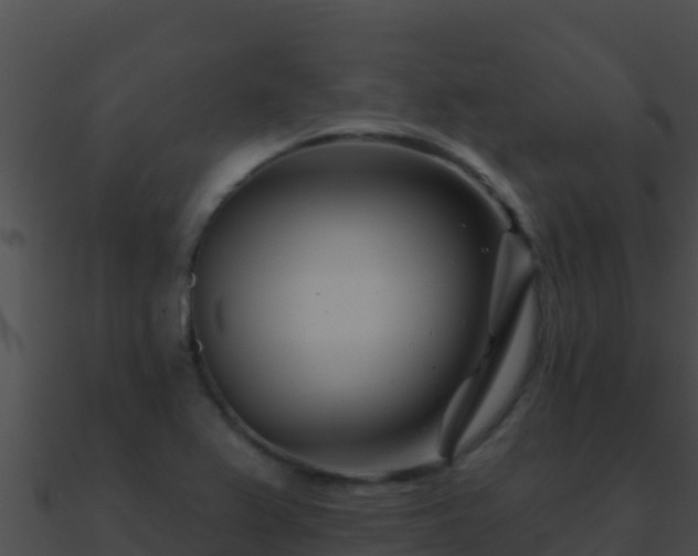 X0000090871367200708031000