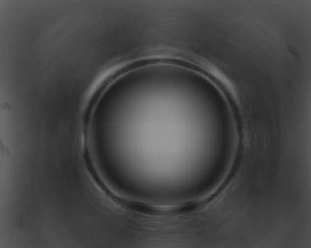 X0000090871368200708031000