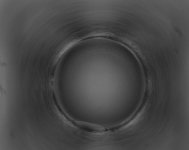 X0000090871369200708031000