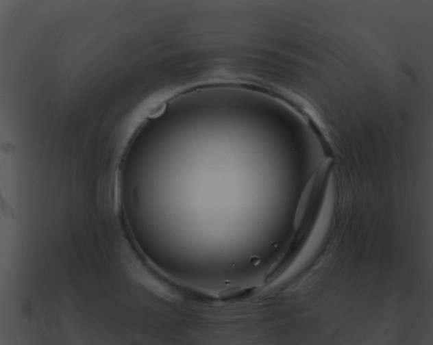 X0000090871371200708031000