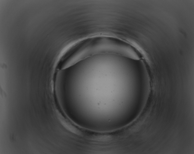 X0000090871372200708031000