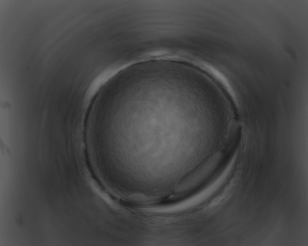 X0000090871373200708031000