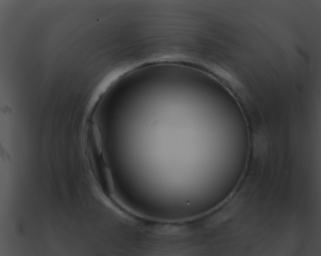 X0000090871374200708031000