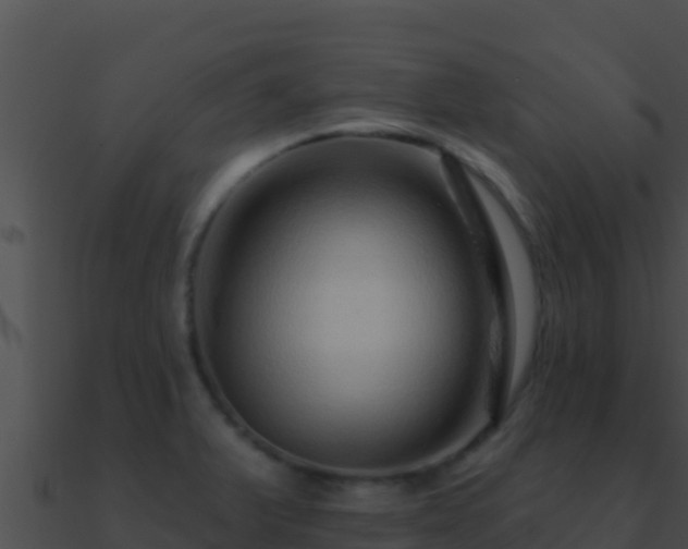 X0000090871375200708031000