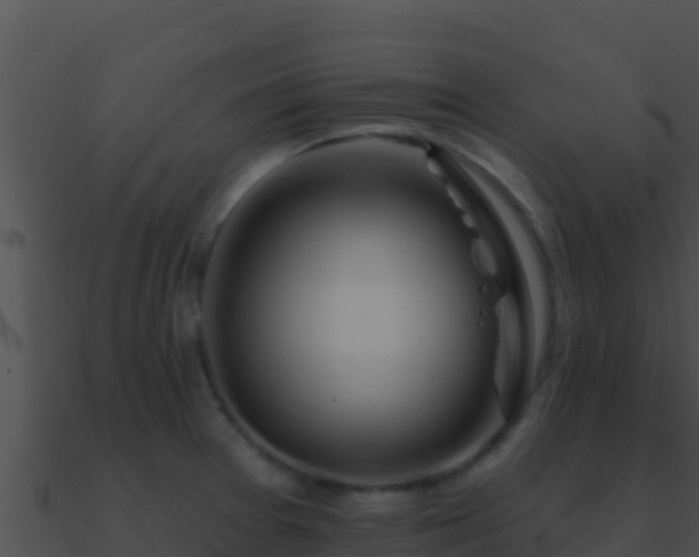 X0000090871377200708031000