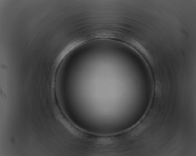 X0000090871378200708031000