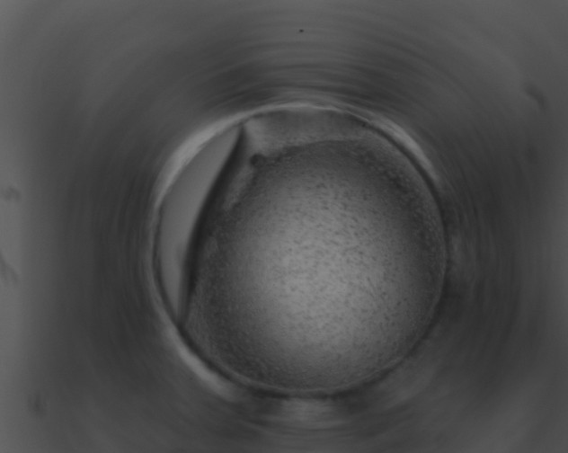 X0000090871379200708031000