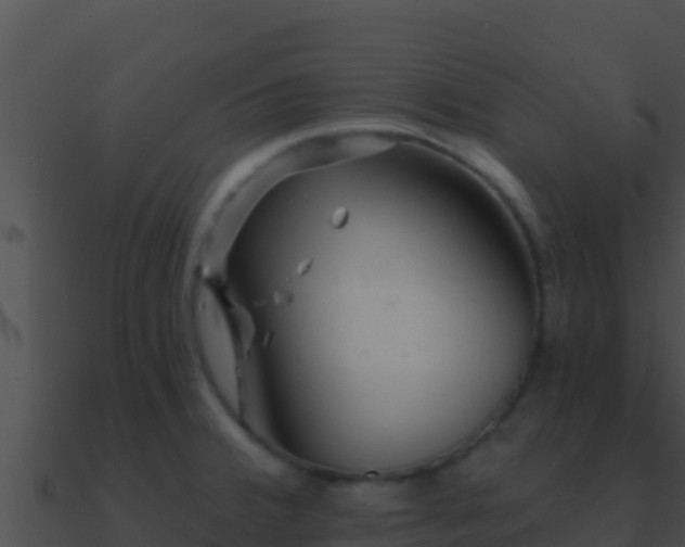 X0000090871380200708031000