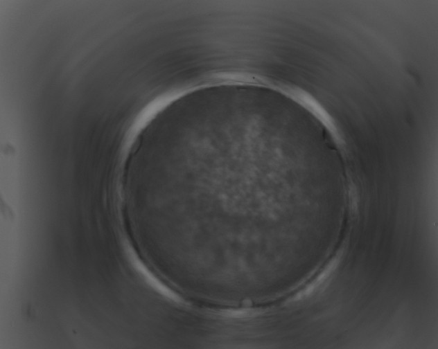 X0000090871381200708031000