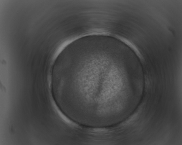 X0000090871383200708031000