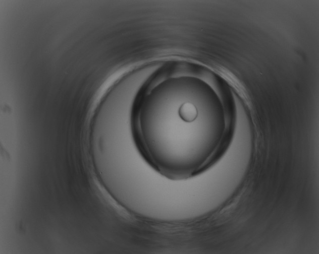 X0000090871384200708031000