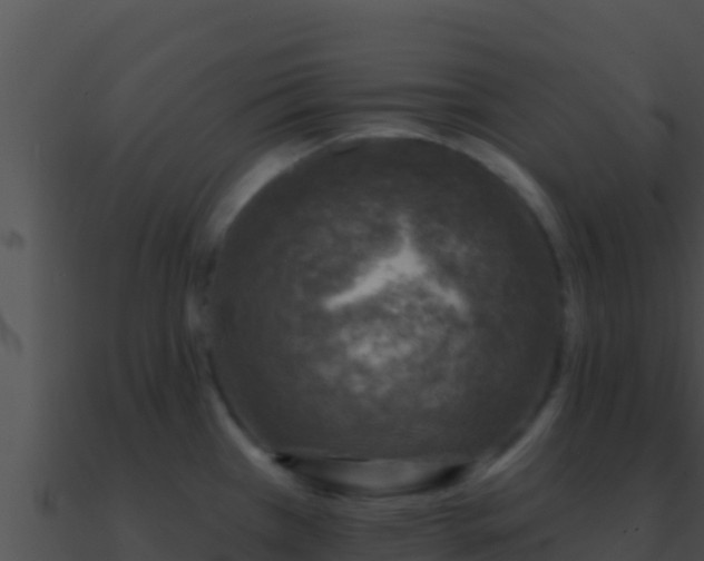 X0000090871385200708031000