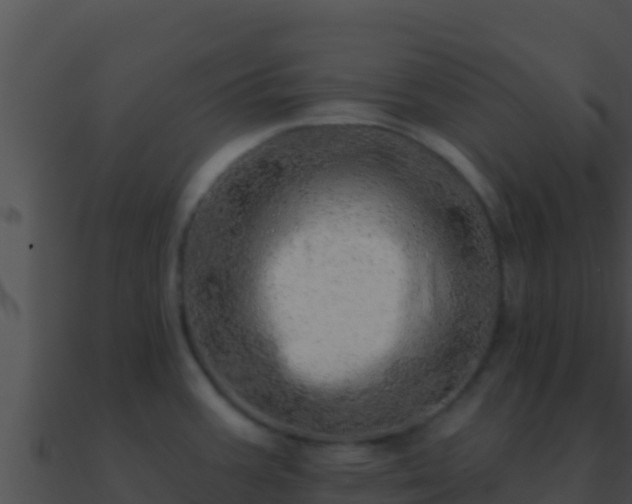 X0000090871387200708031000