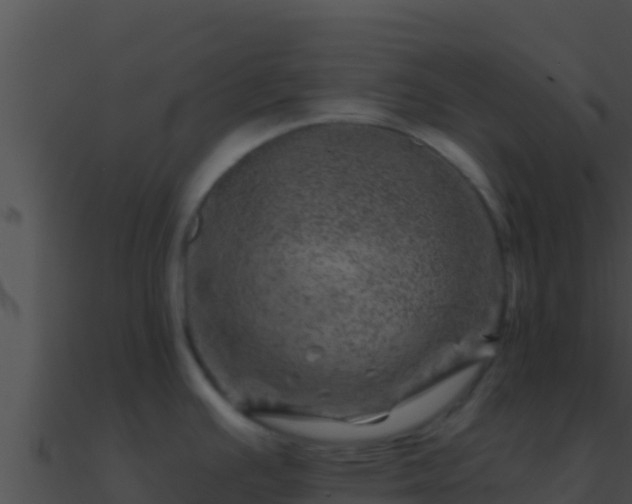 X0000090871391200708031000