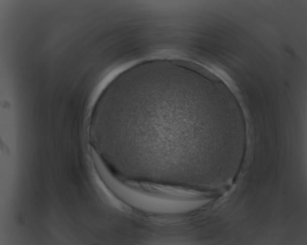 X0000090871392200708031000