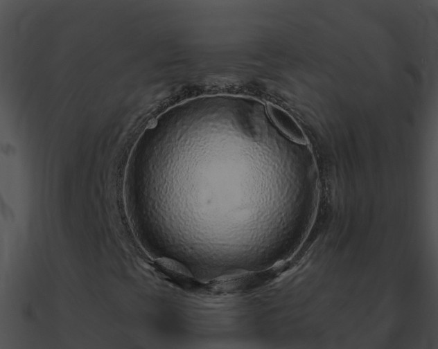 X0000090871393200708030959