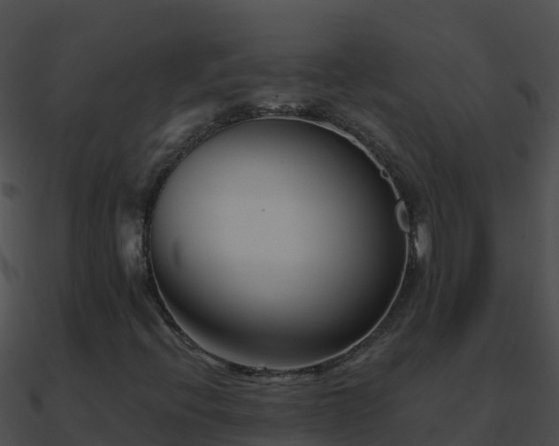 X0000090871396200708030959