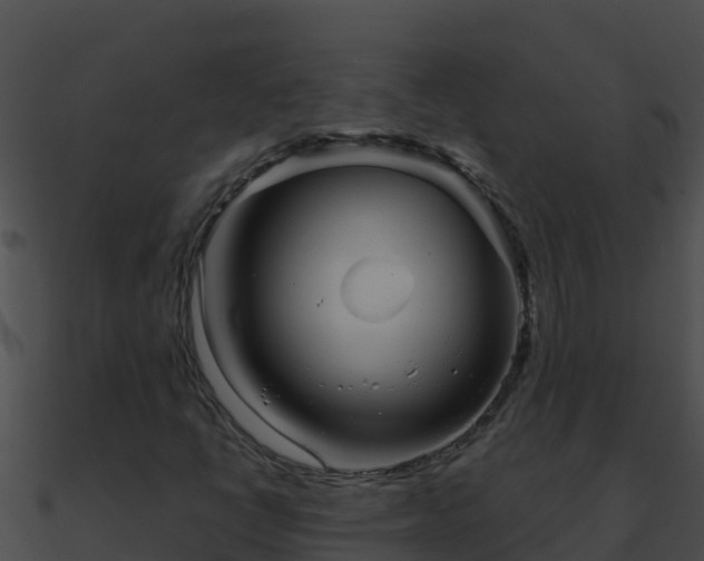 X0000090871398200708030959