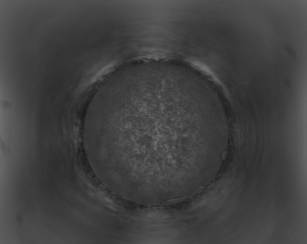 X0000090871399200708030959