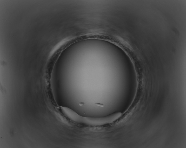 X0000090871400200708030959