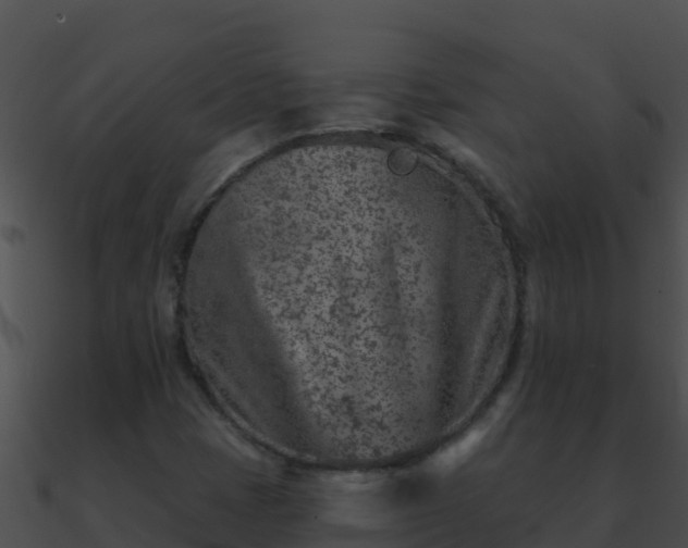 X0000090871401200708030959