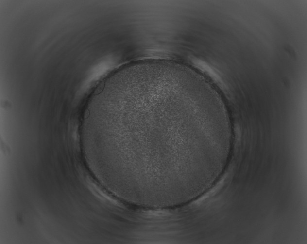 X0000090871403200708030959