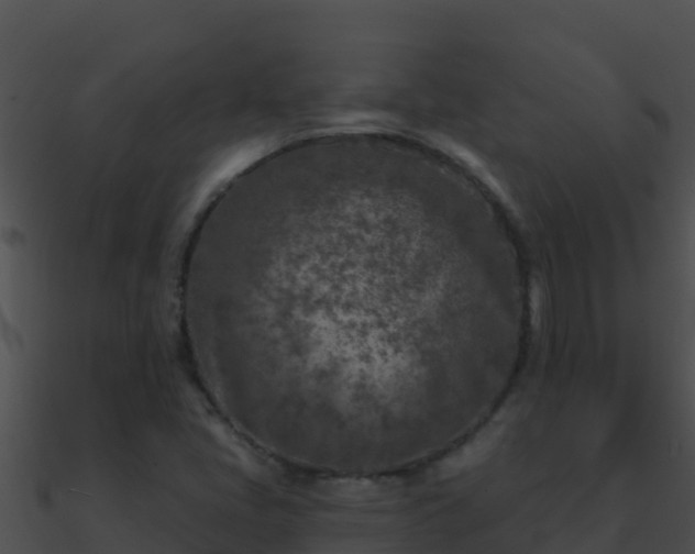 X0000090871405200708030959