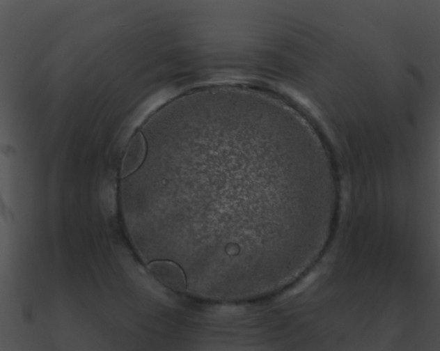 X0000090871409200708030959