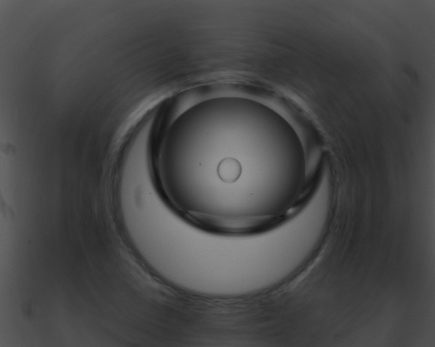 X0000090871410200708030959