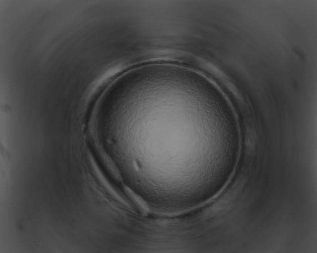 X0000090871411200708030959