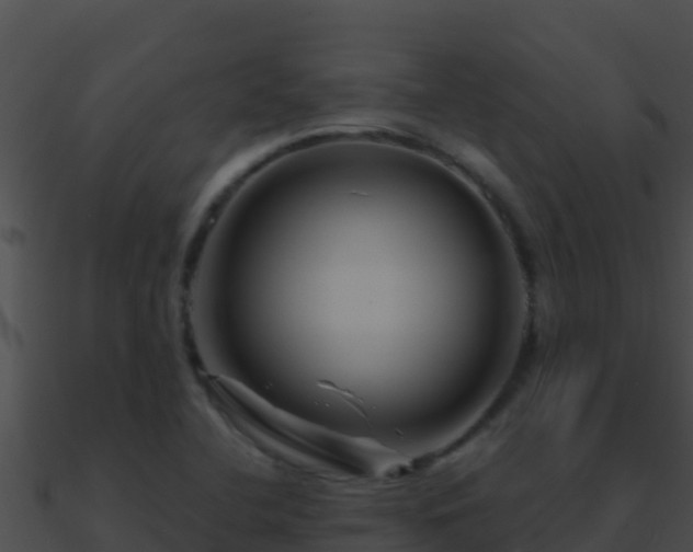 X0000090871412200708030959