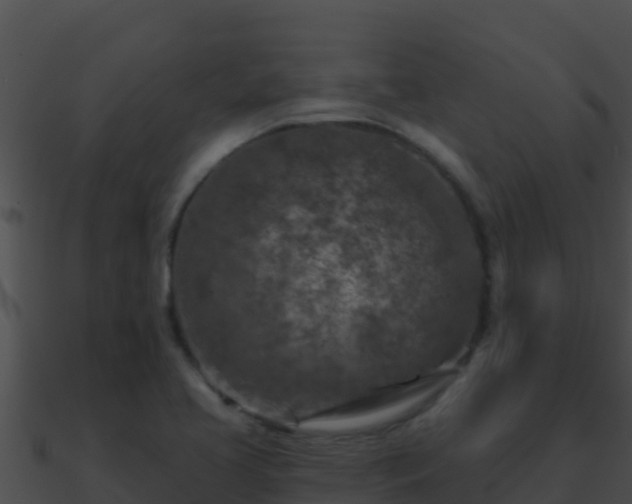 X0000090871413200708030959