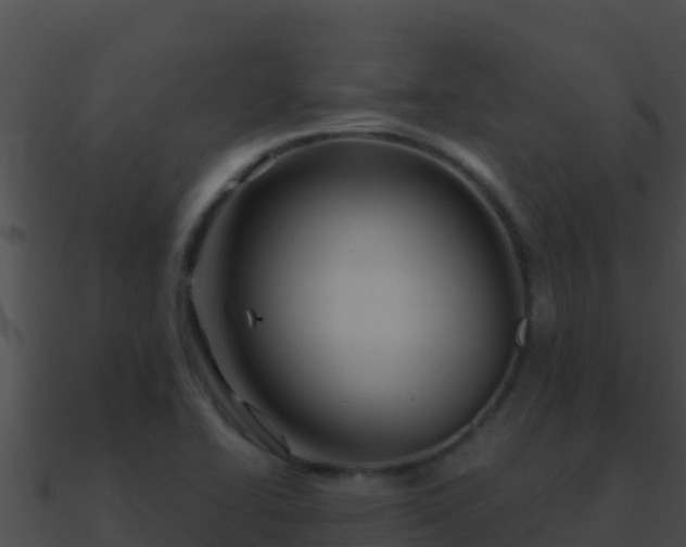 X0000090871414200708030959