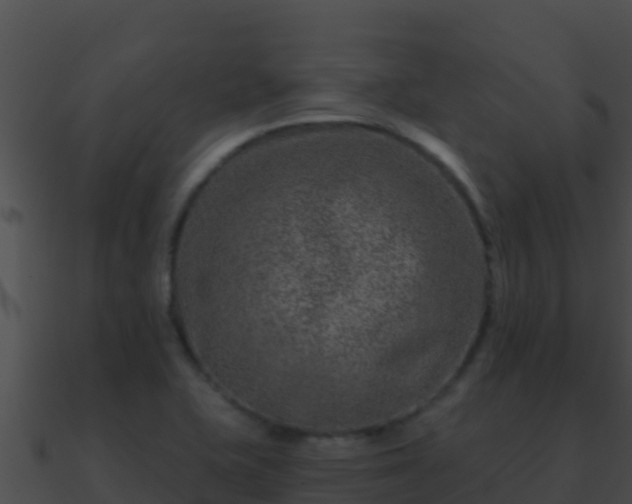 X0000090871415200708030959