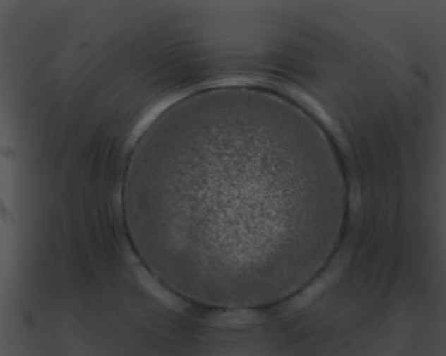 X0000090871417200708030959