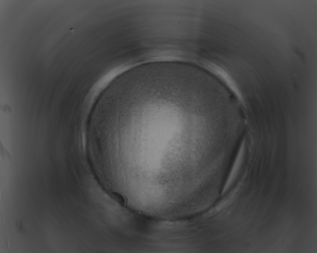 X0000090871419200708030959