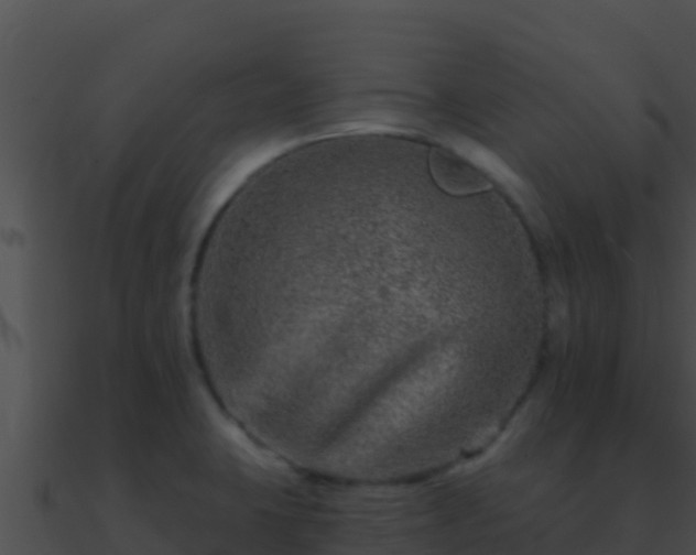 X0000090871423200708030959