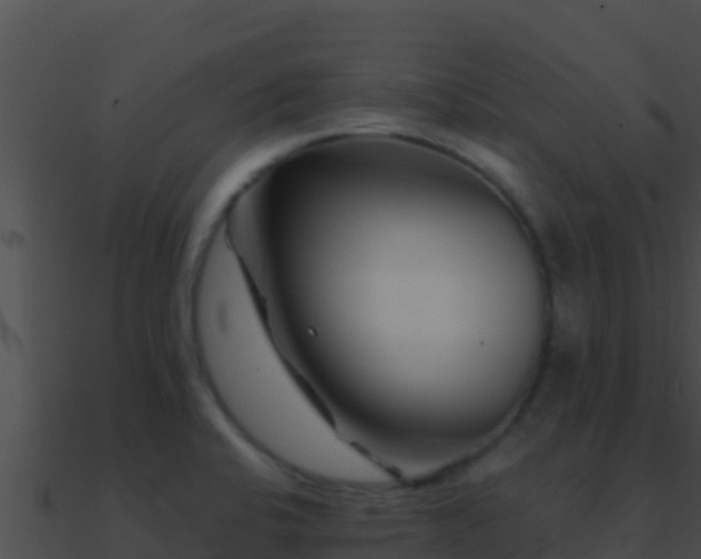 X0000090871424200708030959