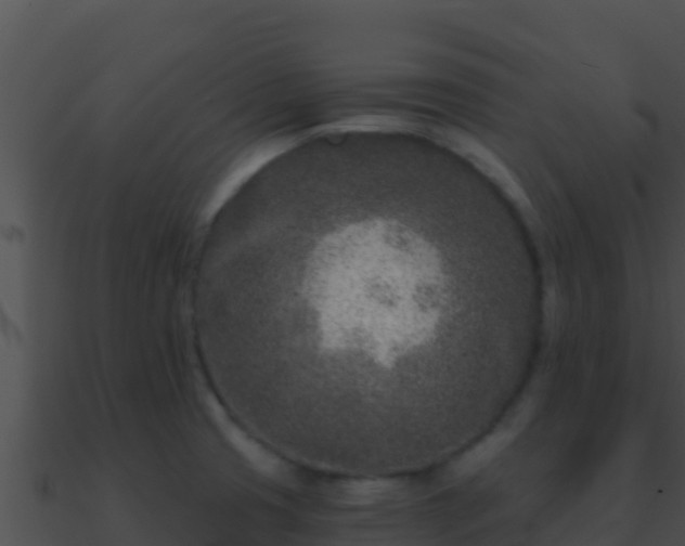 X0000090871425200708030959