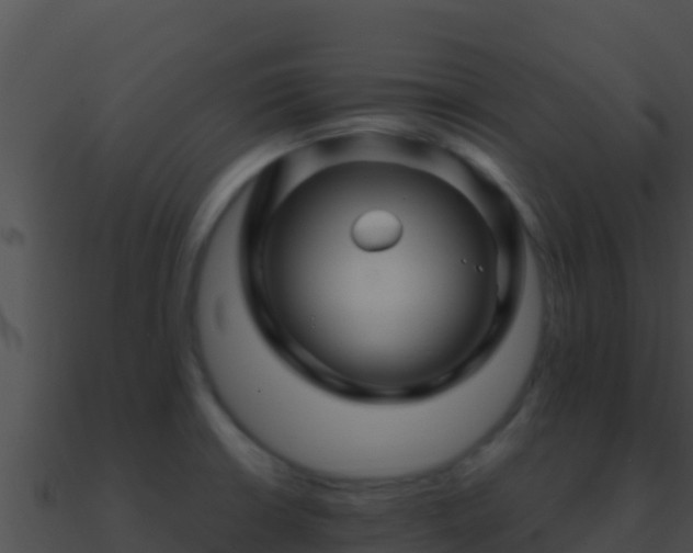 X0000090871426200708030959